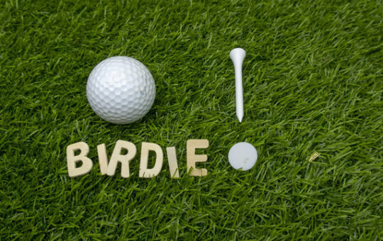 What is Birdie in Golf?